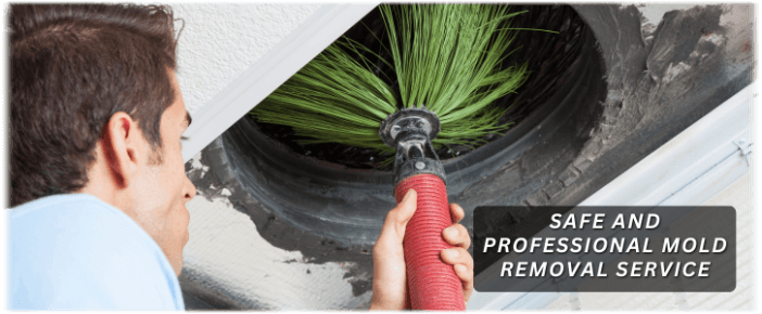 Air Duct Mold Removal in Everett WA