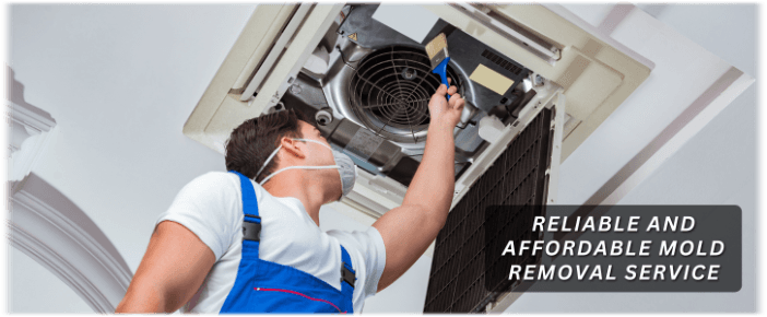 HVAC Mold Removal Everett WA